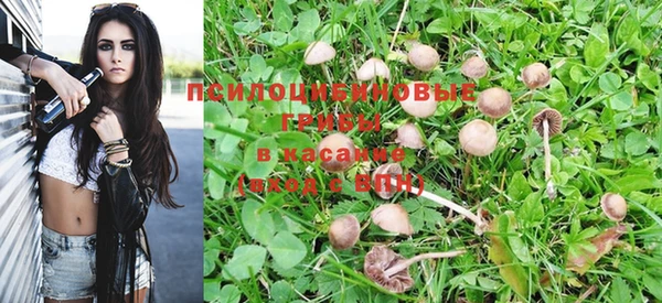 дмт Балахна