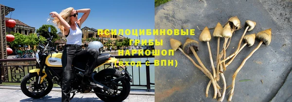 дмт Балахна