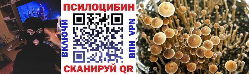 Галлюциногенные грибы MAGIC MUSHROOMS  Верхнеуральск 